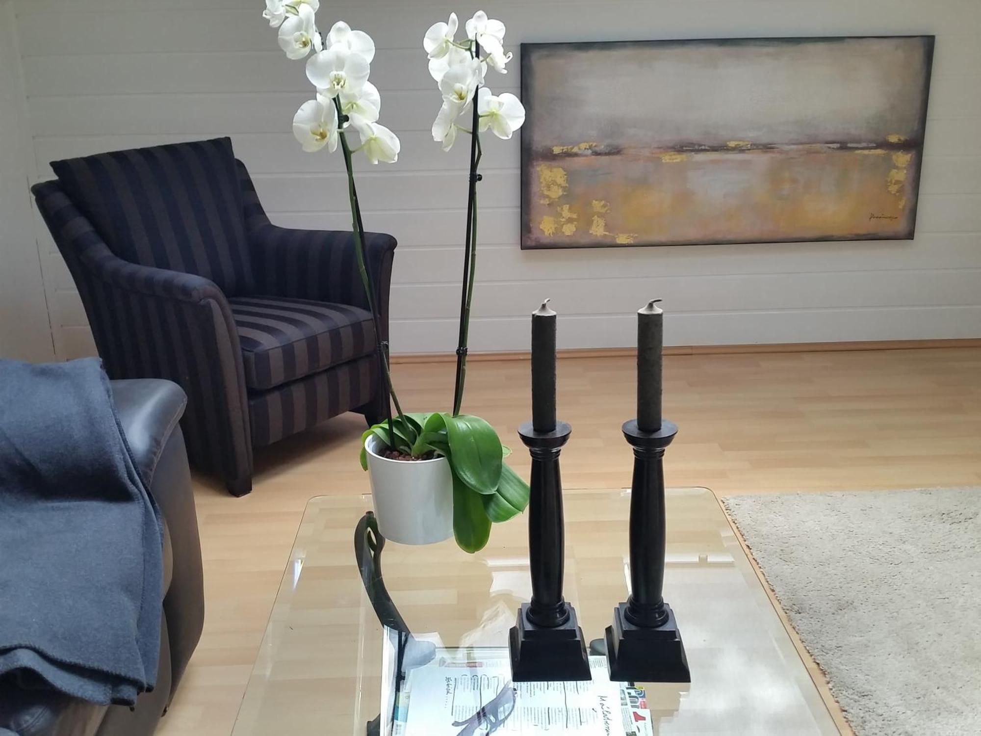 Fewo Am Wald Balve Room photo
