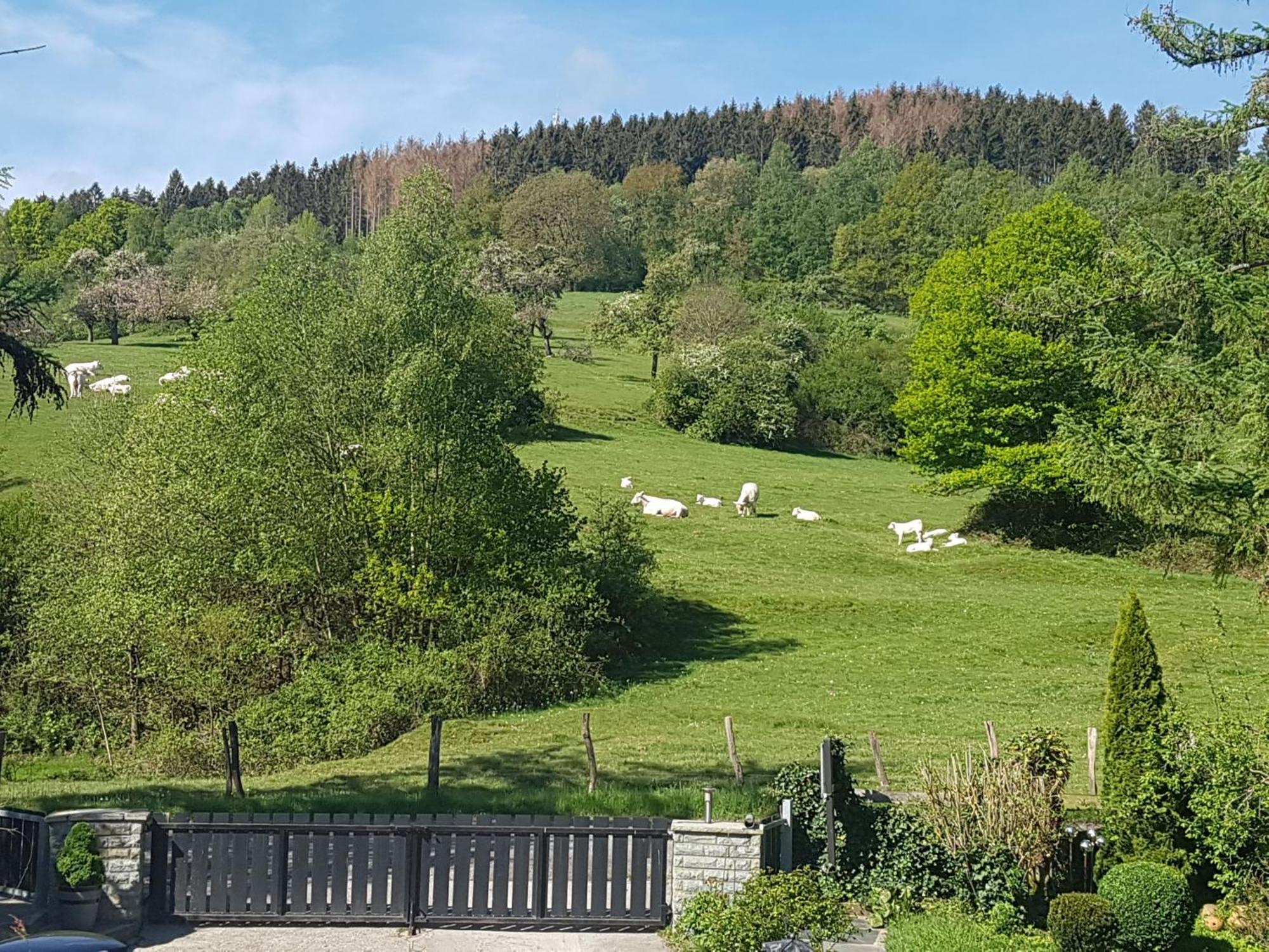 Fewo Am Wald Balve Room photo